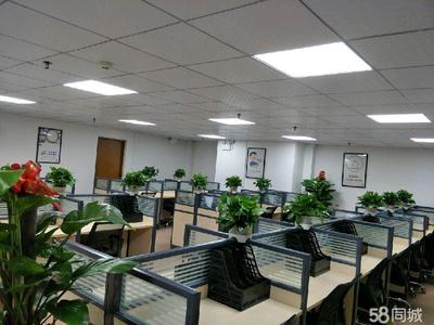 茂名市天弘商務信息咨詢 專業助力企業決策與發展的戰略伙伴